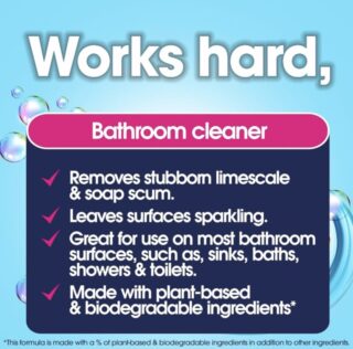 EcoZone 3 in 1 Bathroom Cleaner